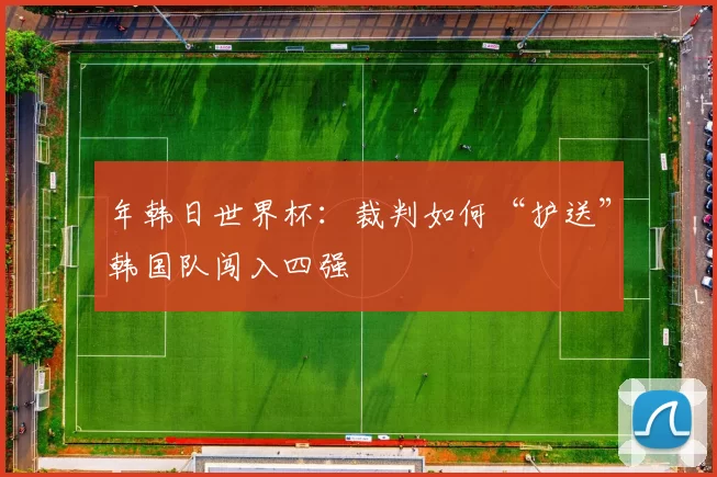 年韩日世界杯:裁判如何“护送”韩国队闯入四强