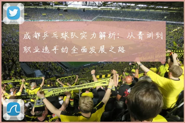 成都乒乓球队实力解析：从青训到职业选手的全面发展之路