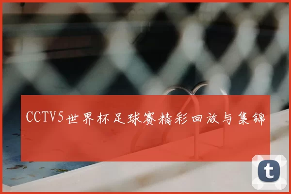 CCTV5世界杯足球赛精彩回放与集锦