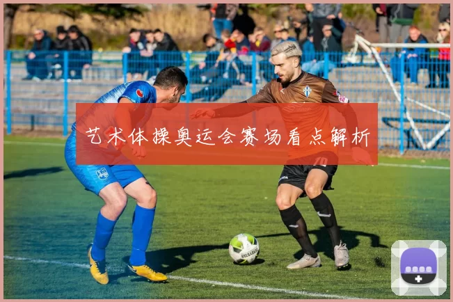 艺术体操奥运会赛场看点解析