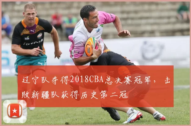 辽宁队夺得2018CBA总决赛冠军,击败新疆队获得历史第二冠